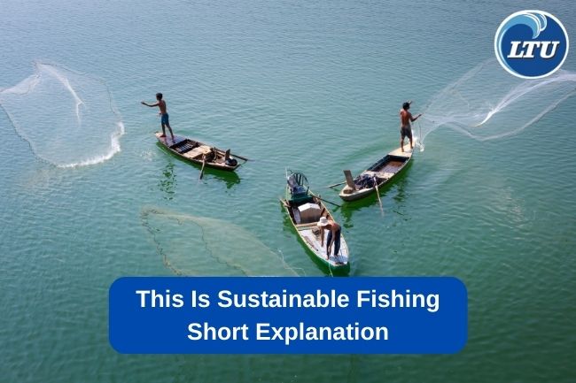 This Is Sustainable Fishing Short Explanation